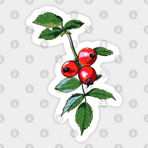 Branch of wild rose Sticker by aleksandrakrylova